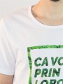 Ca vodî prin lobodî = Like a boss